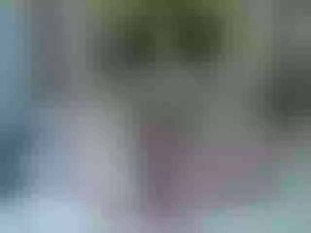 Live sex webcam photo for Mssburbuja #260500667