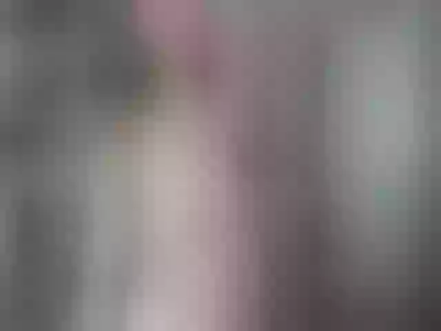 Live sex webcam photo for Greybunny #259372363