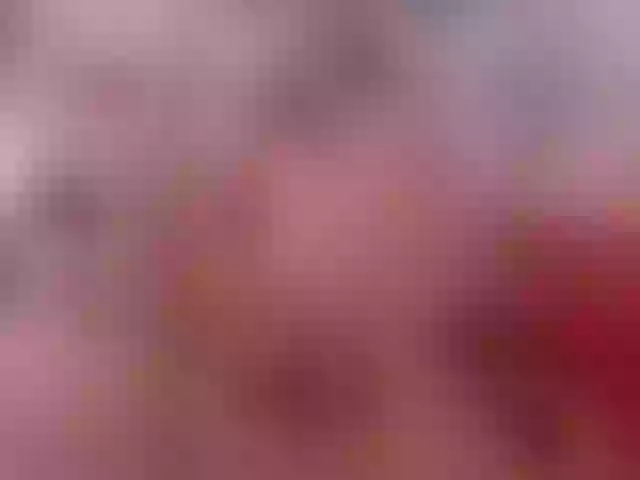 Live sex webcam photo for KattySteal #253755049