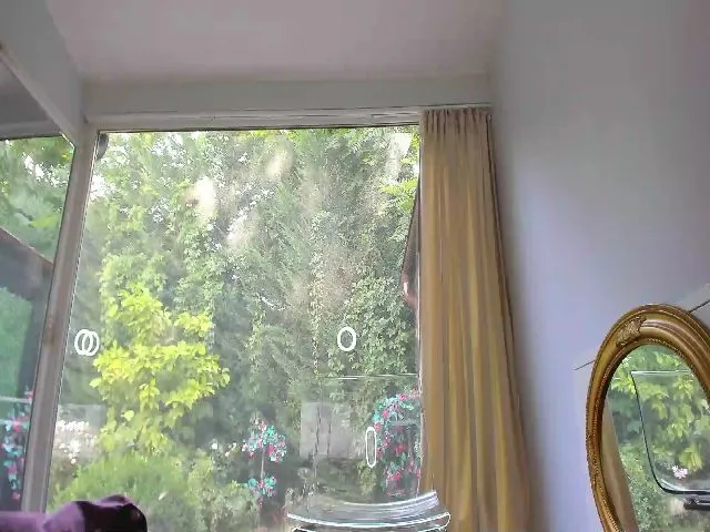 Live sex webcam photo for AlisonKate #264764606