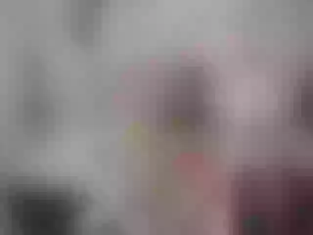 Live sex webcam photo for SexyAshley2x #259084043