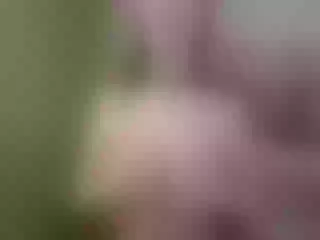 Live sex webcam photo for Evelynevi #252765653