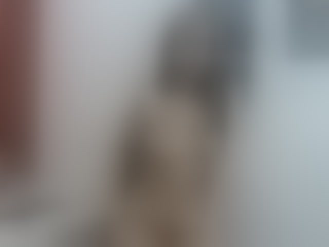 Live sex webcam photo for shantal20 #241435162
