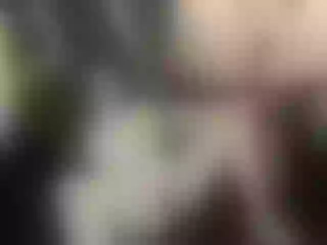 Live sex webcam photo for AliciaKennet #261895624