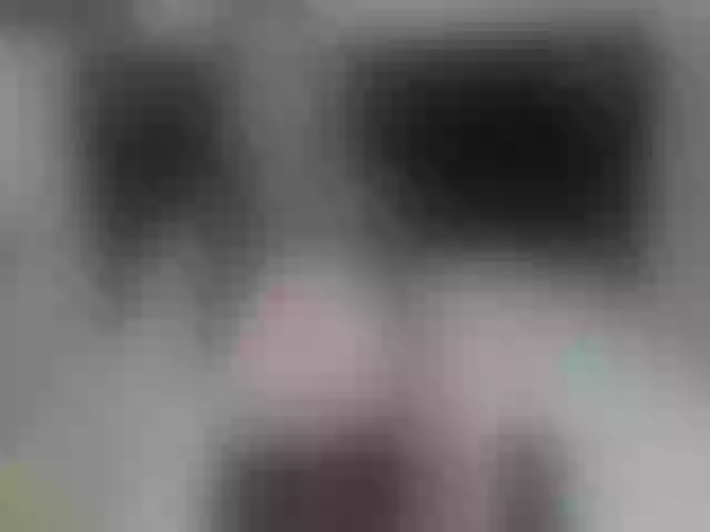 Live sex webcam photo for vick_harris #255340678
