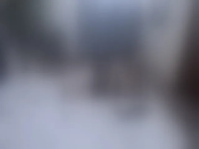 Live sex webcam photo for IsabellaRox #264257328