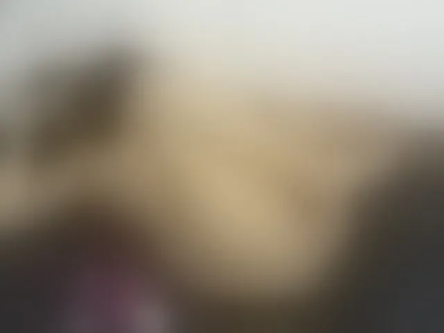 Live sex webcam photo for Merida- #254402785