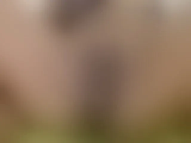 Live sex webcam photo for boundlessfu #251573519