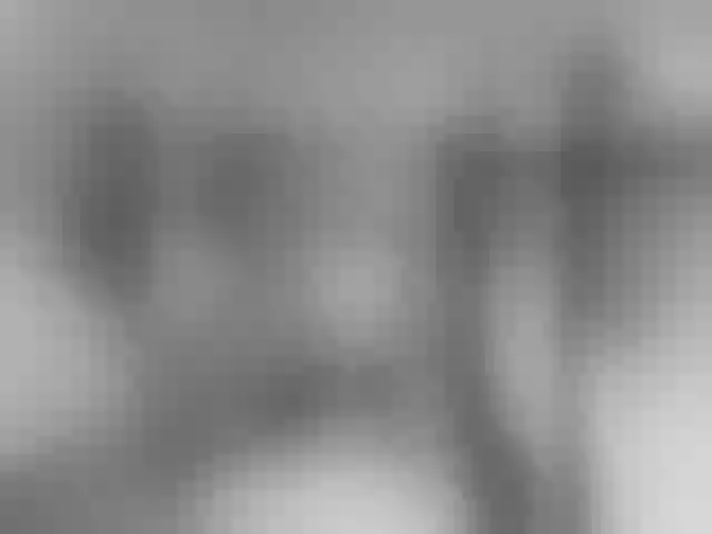 Live sex webcam photo for Marmeladj #256851054