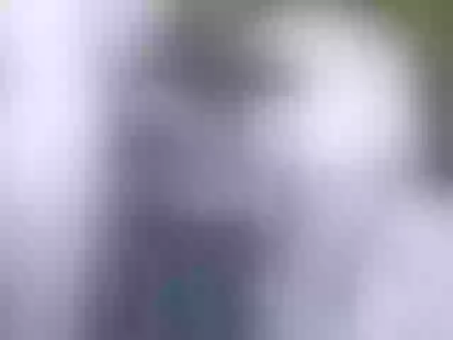 Live sex webcam photo for Siberia-Taiga #287988895