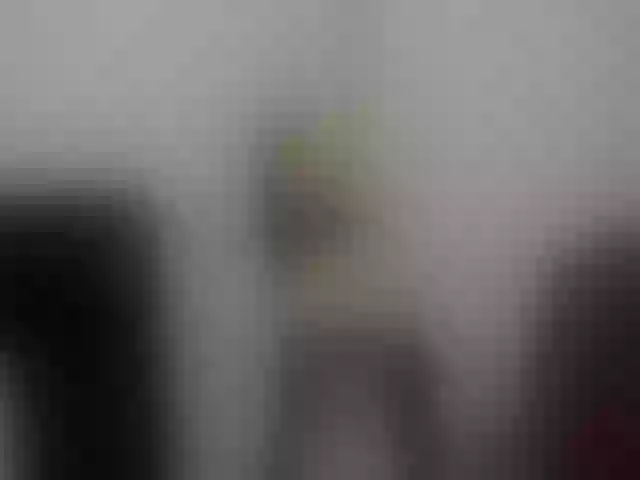 Live sex webcam photo for araseliarambu #255309557