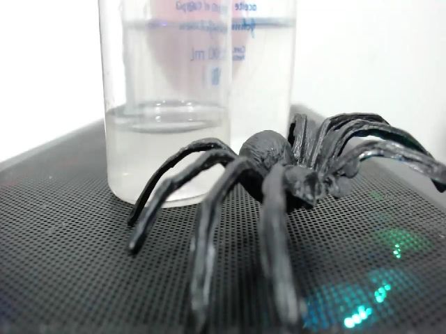 Live sex webcam photo for ShenLong3 #254235162