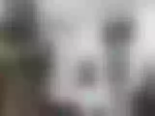 Live sex webcam photo for lylybrow #240837935