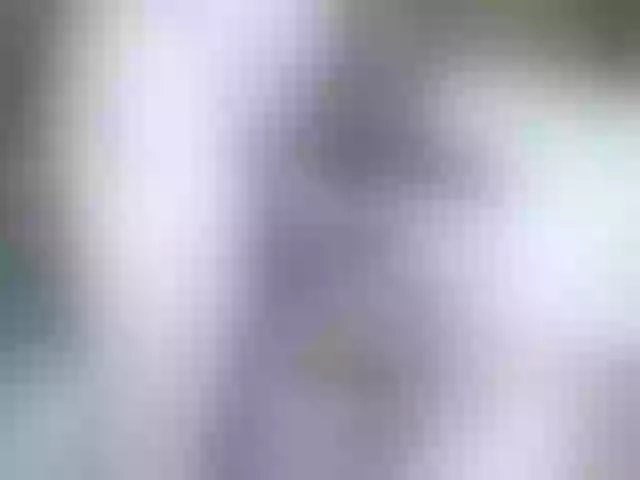 Live sex webcam photo for Siberia-Taiga #287988908