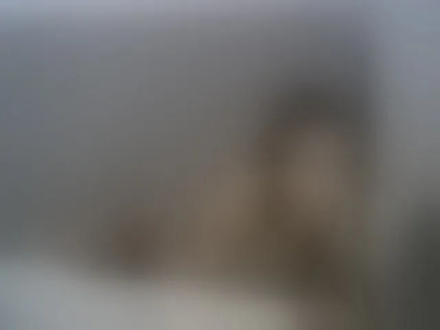 Live sex webcam photo for Tattoo_bbgirl #255965590