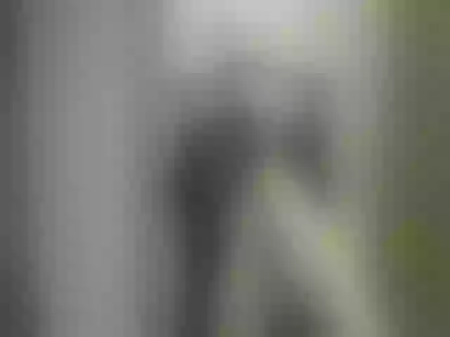 Live sex webcam photo for GoddessKasyia #252282038