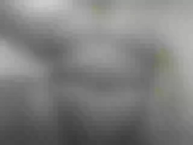 Live sex webcam photo for pugglelover #259943494
