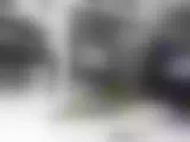 Live sex webcam photo for lylybrow #241429637