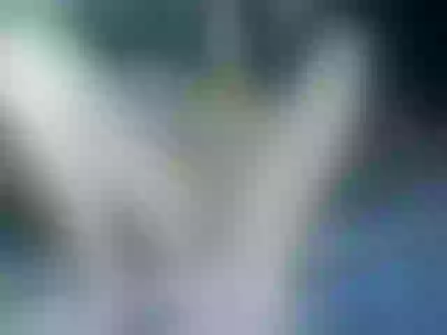 Live sex webcam photo for Caroline134 #249749569
