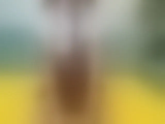 Live sex webcam photo for VirginAlice #264454044