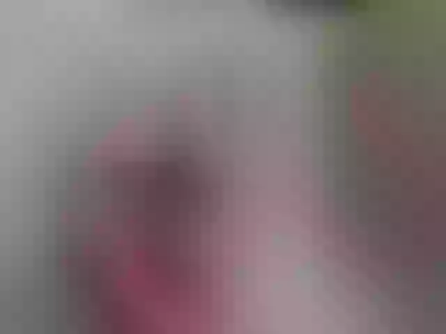 Live sex webcam photo for pevicha #241043645