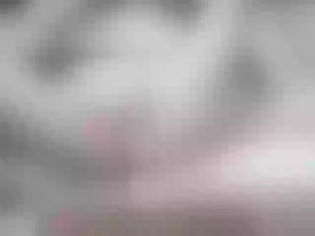 Live sex webcam photo for pussyboom11 #241271822