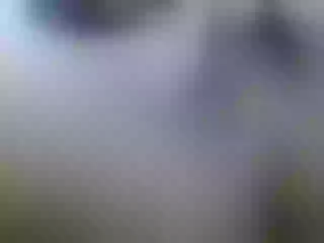 Live sex webcam photo for SofiaGray #241189975