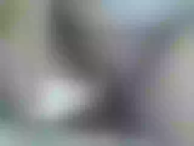 Live sex webcam photo for pugglelover #259610741