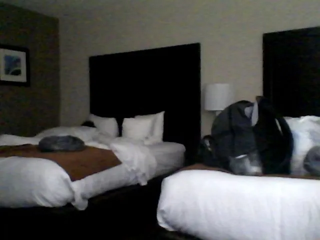 Live sex webcam photo for CocoaCat #263632759