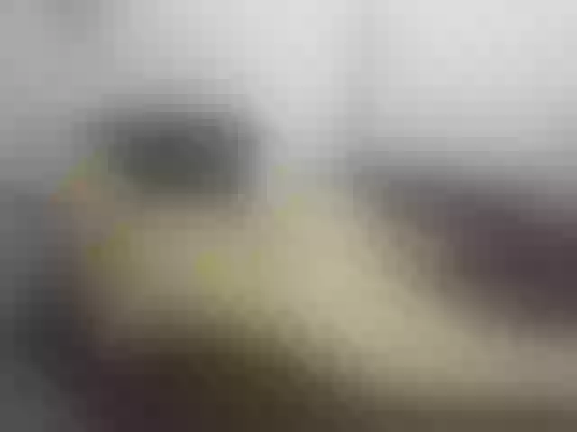 Live sex webcam photo for Merida_blue #254424839