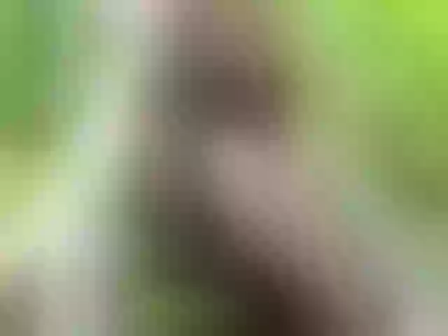 Live sex webcam photo for Ledi1 #247865607