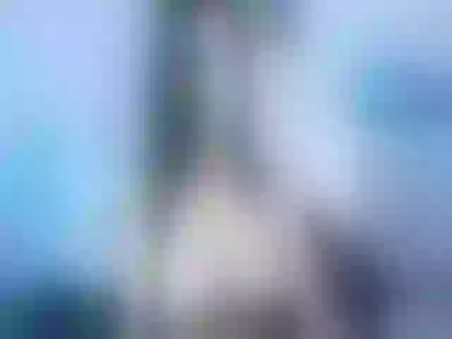 Live sex webcam photo for Panamera_888 #263438566