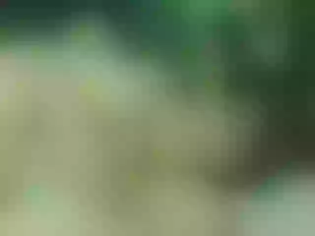 Live sex webcam photo for Alexajoyy #252273834