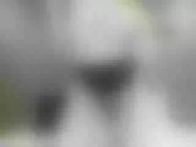 Live sex webcam photo for hotvik #258255636