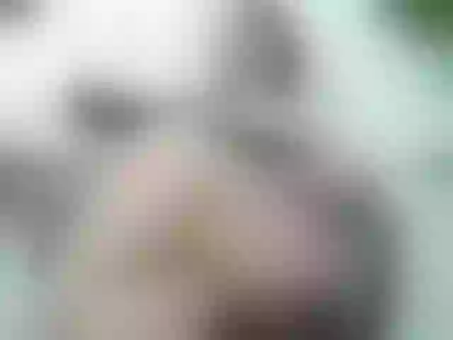 Live sex webcam photo for IngritBitch #244646865