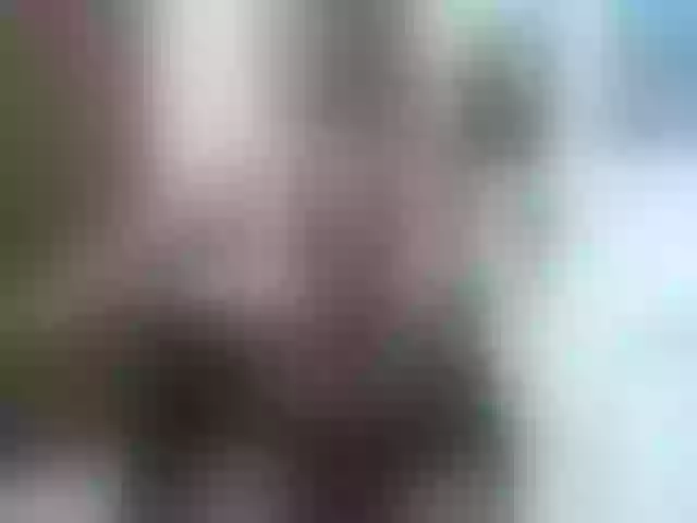 Live sex webcam photo for lylybrow #240936565