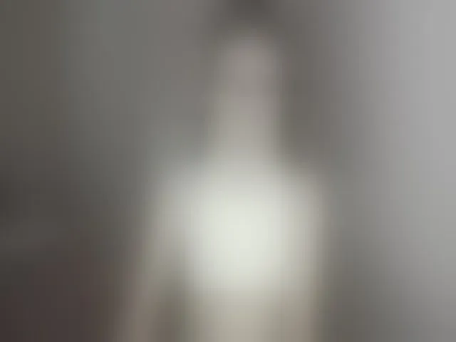 Live sex webcam photo for AyaJanae #259913138