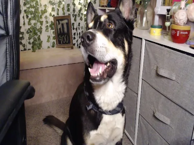 Live sex webcam photo for AudryLikes #254679091