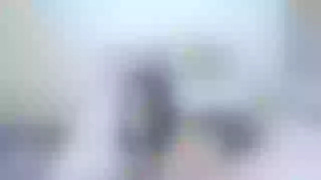 Live sex webcam photo for hina_azuma #243599361