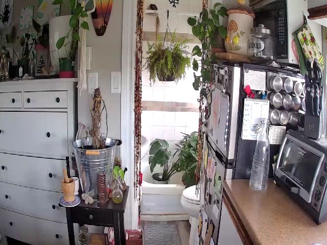 Live sex webcam photo for Sexylexi211 #260037049