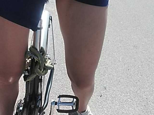 Live sex webcam photo for ula2015 #246274799