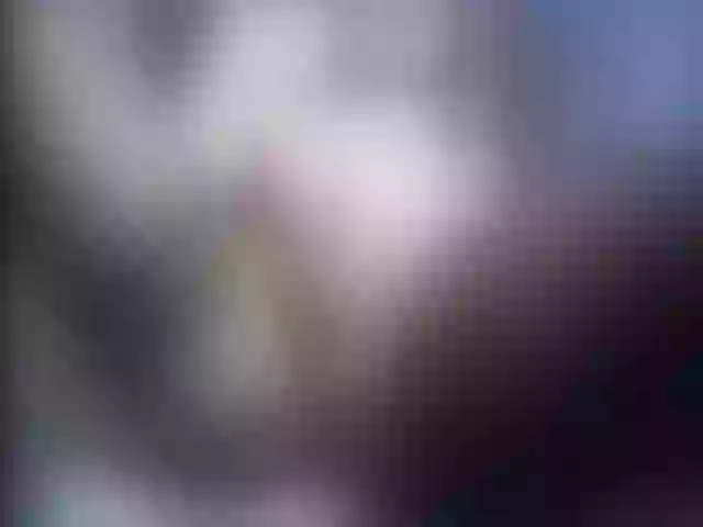 Live sex webcam photo for Ellaquality #252729326
