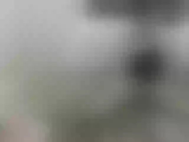 Live sex webcam photo for pugglelover #253882364