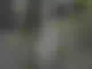 Live sex webcam photo for Misssexyvegas #251991399