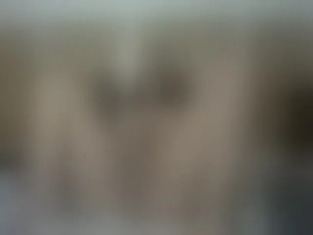 Live sex webcam photo for Mssburbuja #254034116