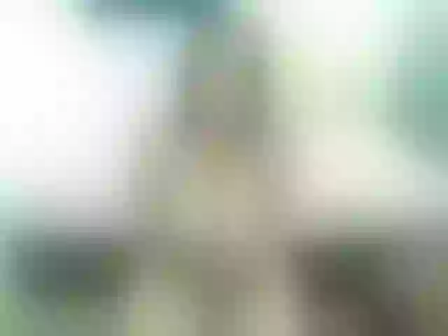 Live sex webcam photo for miahells #241084306