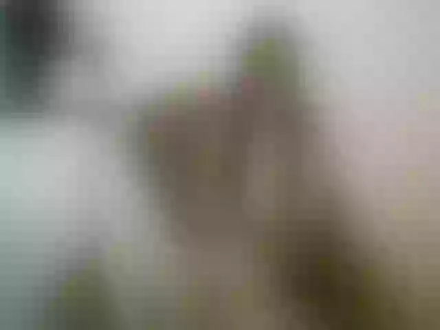 Live sex webcam photo for Terra1123 #254879246