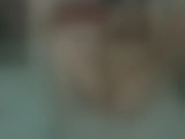 Live sex webcam photo for Misssexyvegas #252438400