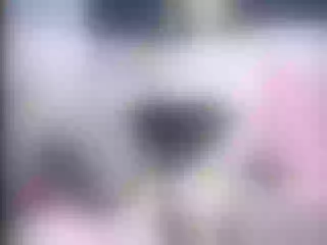 Live sex webcam photo for Ellaquality #255617480