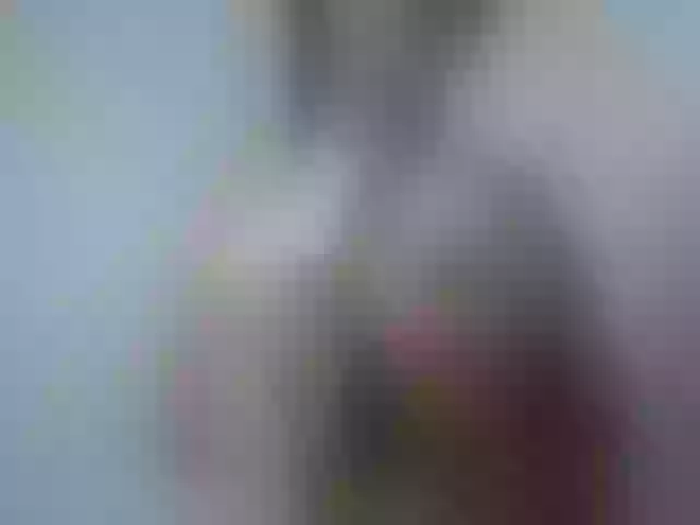 Live sex webcam photo for dreamyriri #254544769